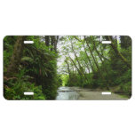 Fern Canyon II at Redwood National Park License Plate