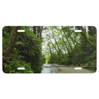 Fern Canyon II at Redwood National Park License Plate