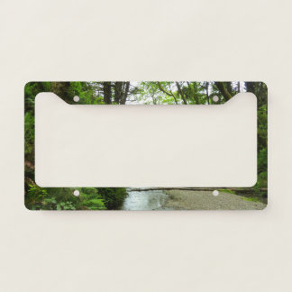 Fern Canyon II at Redwood National Park License Plate Frame