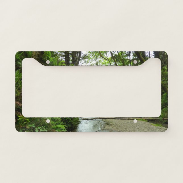 Fern Canyon II at Redwood National Park License Plate Frame (Front)