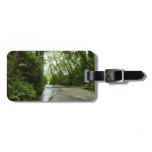 Fern Canyon II at Redwood National Park Luggage Tag