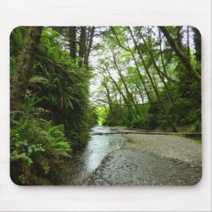 Fern Canyon II at Redwood National Park Mouse Pad
