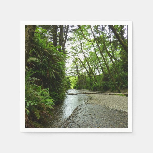 Fern Canyon II at Redwood National Park Napkins (Front)