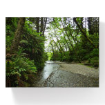 Fern Canyon II at Redwood National Park Paperweight