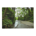 Fern Canyon II at Redwood National Park Placemat