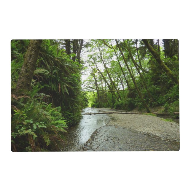 Fern Canyon II at Redwood National Park Placemat (Front)