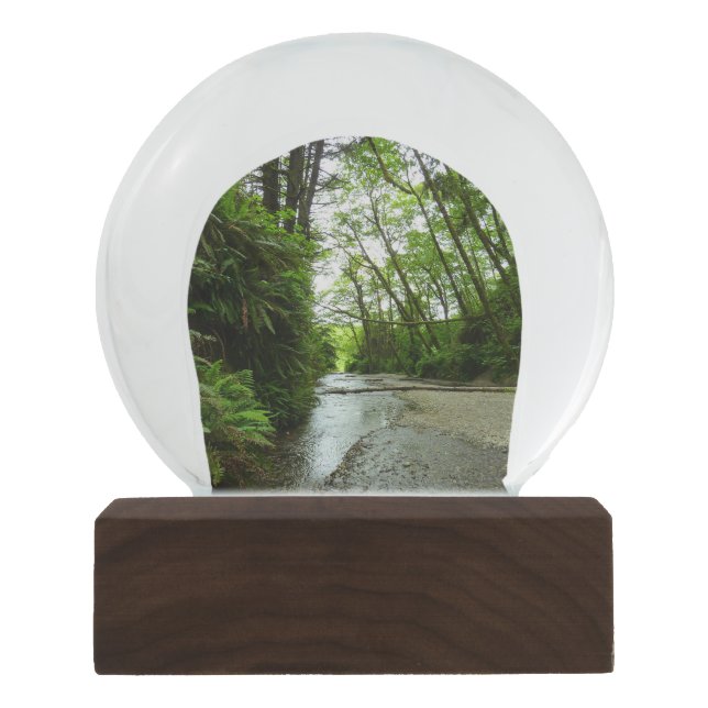 Fern Canyon II at Redwood National Park Snow Globe (Front)