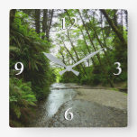 Fern Canyon II at Redwood National Park Square Wall Clock