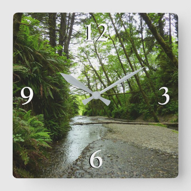 Fern Canyon II at Redwood National Park Square Wall Clock (Front)