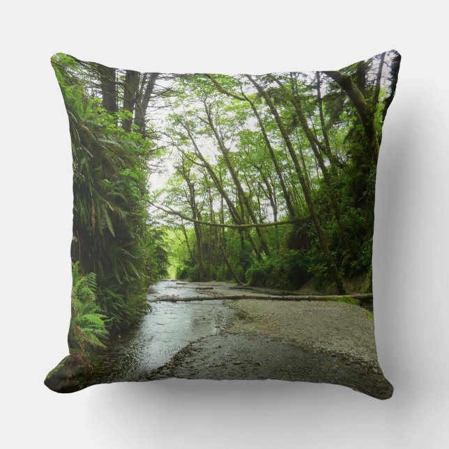 Fern Canyon II at Redwood National Park Throw Pillow (Front)