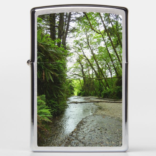 Fern Canyon II at Redwood National Park Zippo Lighter (Front)