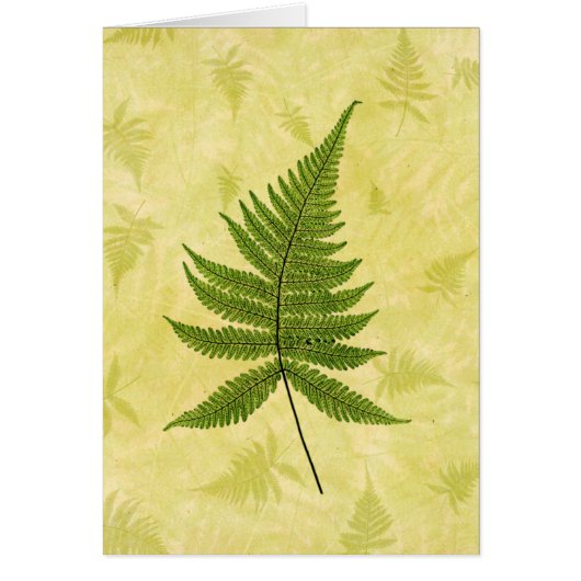 Fern Cards (Front)