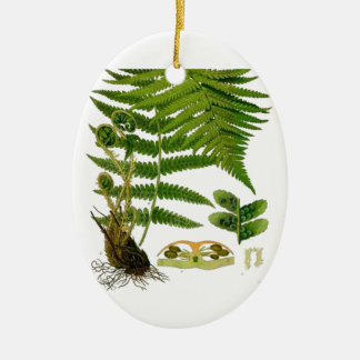 Fern Ceramic Ornament