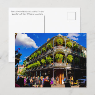 Fern Covered Balconies Postcard
