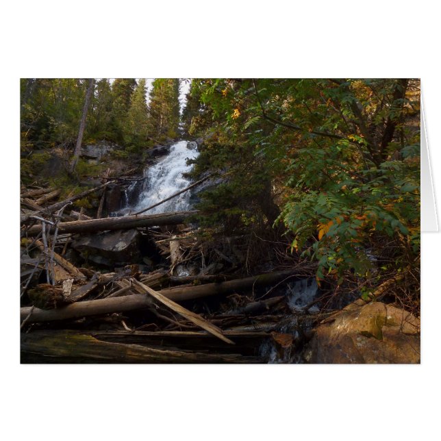 Fern Falls at Rocky Mountain National Park Cards (Front Horizontal)