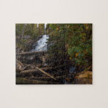 Fern Falls at Rocky Mountain National Park Jigsaw Puzzle