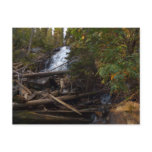 Fern Falls at Rocky Mountain National Park Postcard