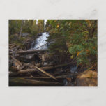 Fern Falls at Rocky Mountain National Park Postcard