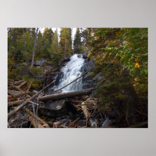 Fern Falls at Rocky Mountain National Park Poster