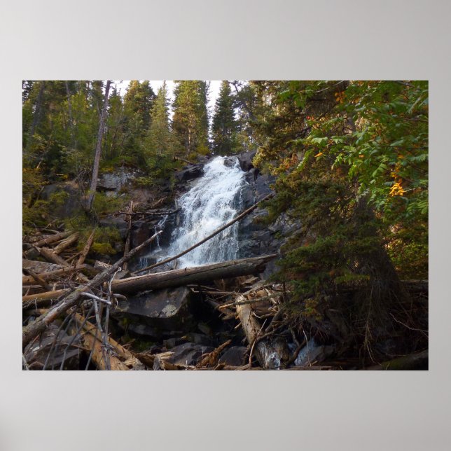Fern Falls at Rocky Mountain National Park Poster (Front)
