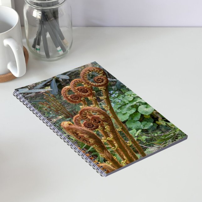 Fern Fiddleheads Botanical Notebook (In Situ)