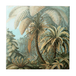 Fern (Filicinae) by Haeckel Ceramic Tile