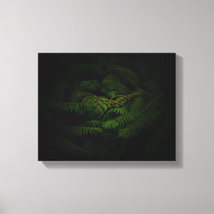 Fern Fine Art Photograph Canvas Print