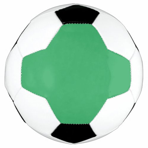  FernFrog GreenGulf Stream Soccer Ball