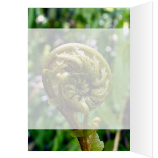 Fern Frond (Inside (Left))