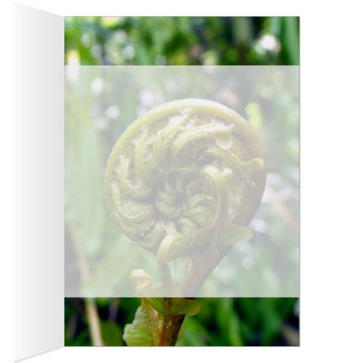 Fern Frond (Inside (Right))