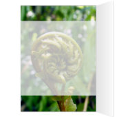 Fern Frond Cards (Inside (Left))