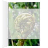 Fern Frond Cards (Inside (Right))