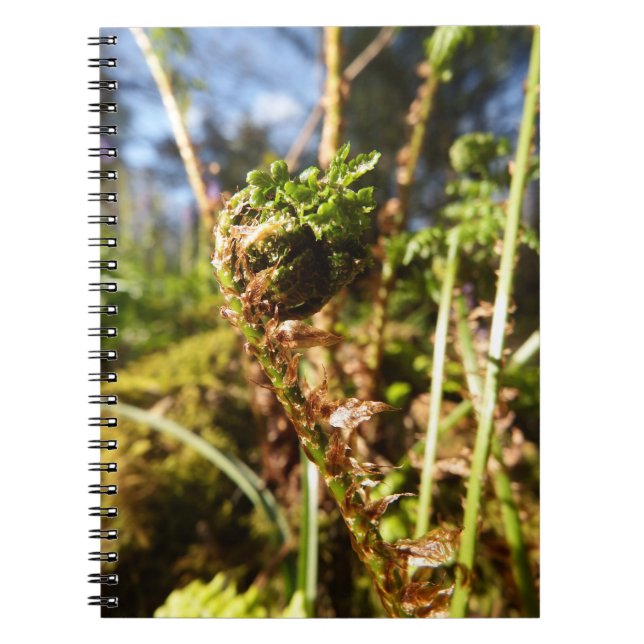 Fern Frond Notebook (Front)