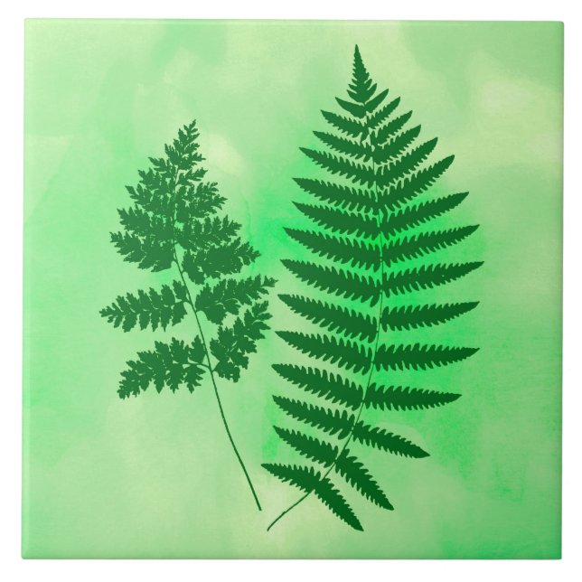 Fern Fronds, Green on a Watercolor Background Ceramic Tile (Front)
