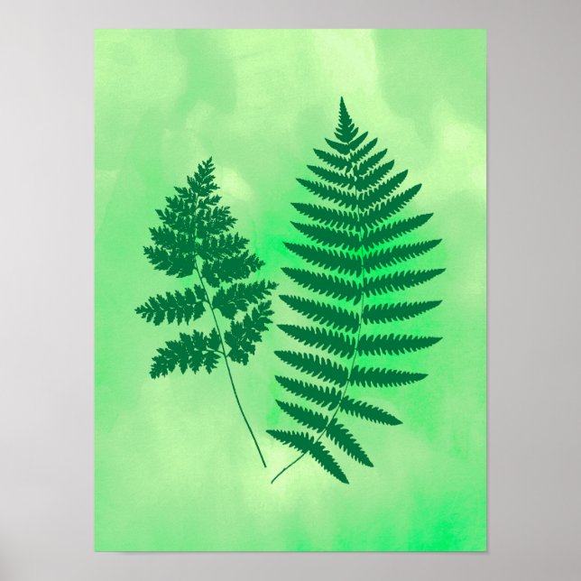 Fern Fronds, Green on a Watercolor Background Poster (Front)