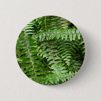 Fern Fronds I Green Nature Button