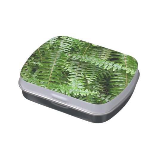 Fern Fronds I Green Nature Candy Tin (Side)