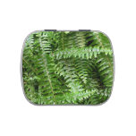 Fern Fronds I Green Nature Candy Tin