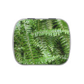 Fern Fronds I Green Nature Candy Tin (Top)