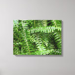 Fern Fronds I Green Nature Canvas Print