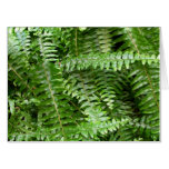 Fern Fronds I Green Nature Card