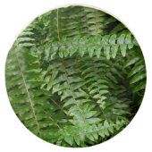 Fern Fronds I Green Nature Chocolate Covered Oreo (Front)