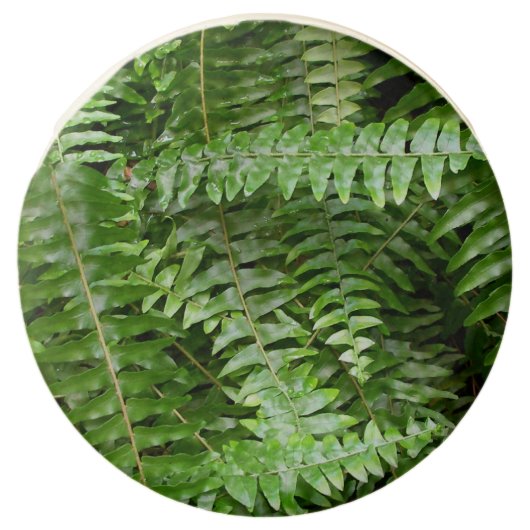 Fern Fronds I Green Nature Chocolate Covered Oreo (Front)
