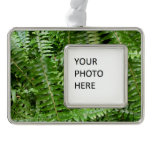 Fern Fronds I Green Nature Christmas Ornament