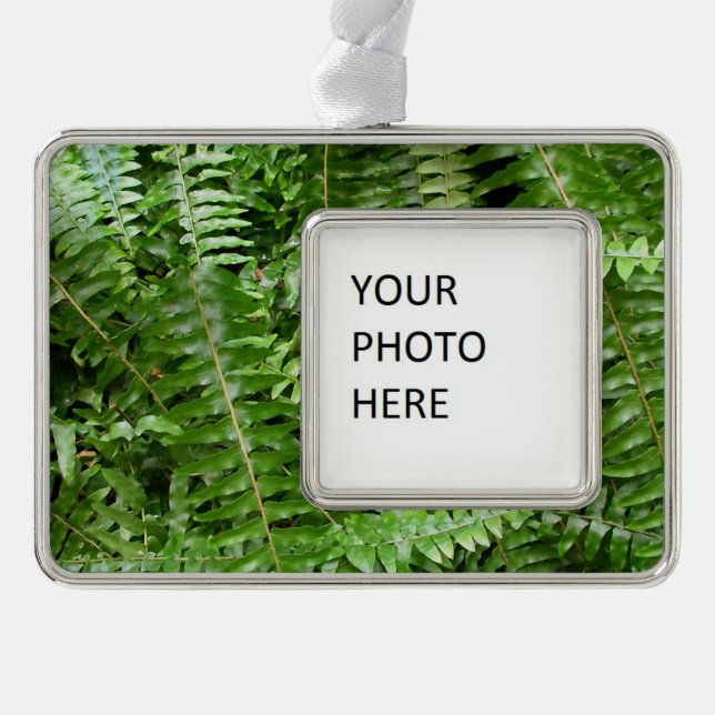 Fern Fronds I Green Nature Christmas Ornament (Front)