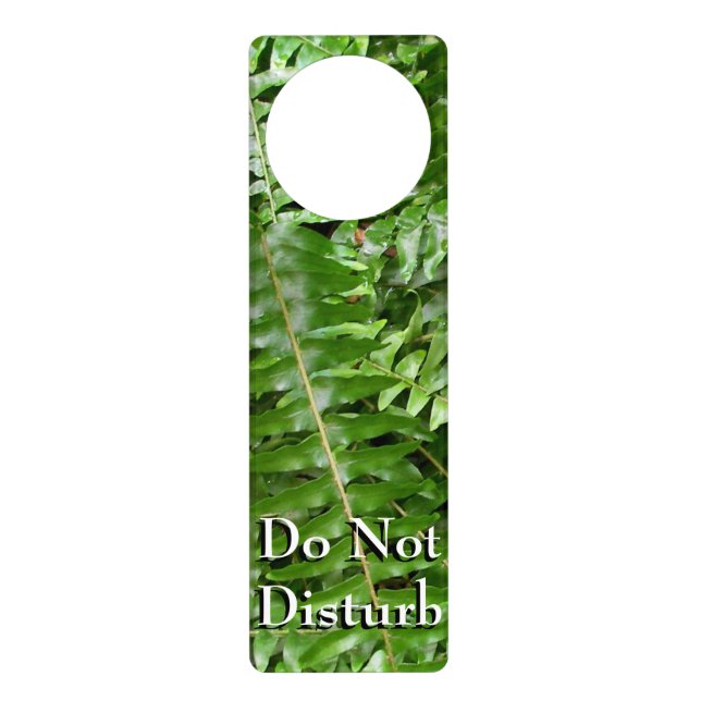 Fern Fronds I Green Nature Door Hanger (Front)