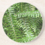 Fern Fronds I Green Nature Drink Coaster