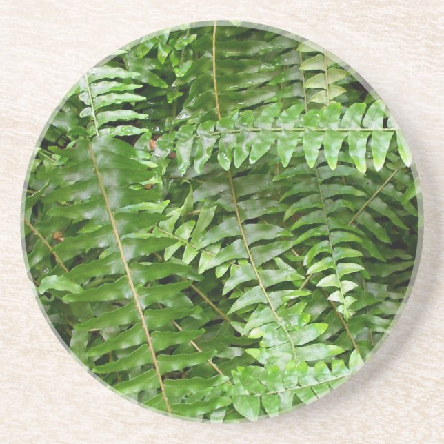 Fern Fronds I Green Nature Drink Coaster (Front)