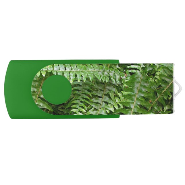 Fern Fronds I Green Nature Flash Drive (Front)