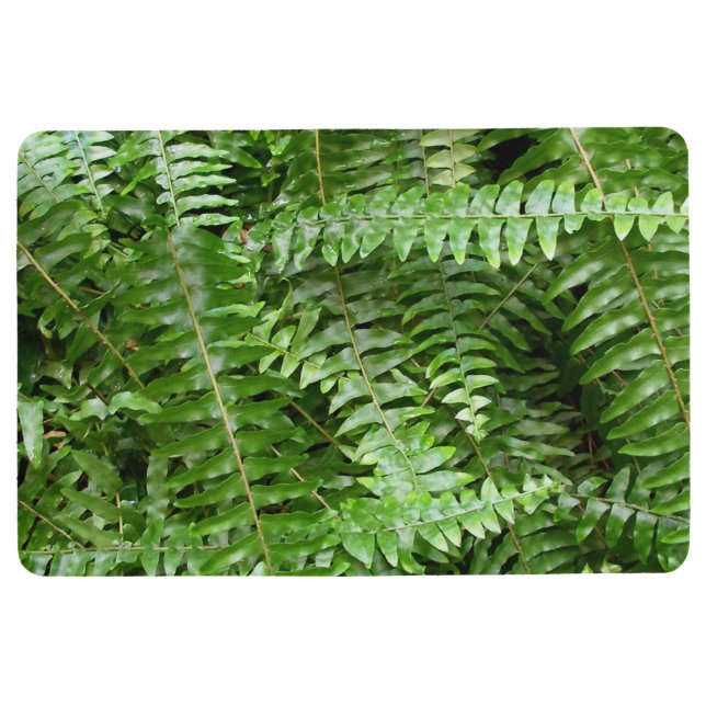 Fern Fronds I Green Nature Floor Mat (Front)